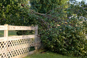 A fallen tree on a fence after a windy storm. Southern Maryland tree service can help you clean up your yard today. 