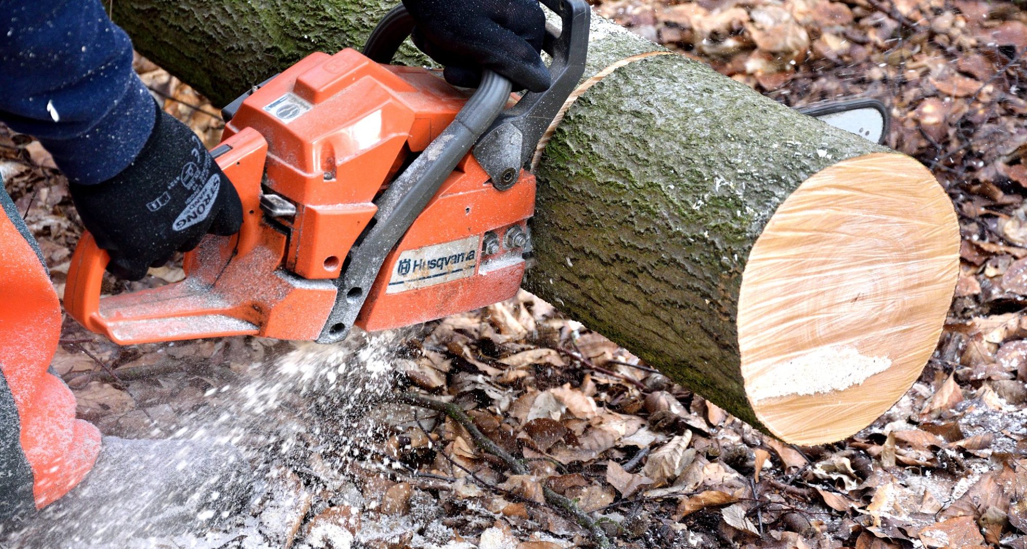 Southern Maryland Fellers Tree Service